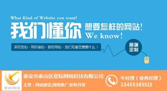 互聯(lián)網(wǎng)營銷與銷售領域中的星際網(wǎng)絡及其行業(yè)解析